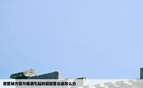 养胃秘方因为喝酒引起的轻微胃出血怎么办