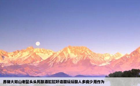 养猪大如山老鼠头头死酿酒缸缸好造醋坛坛酸人多病少用作为