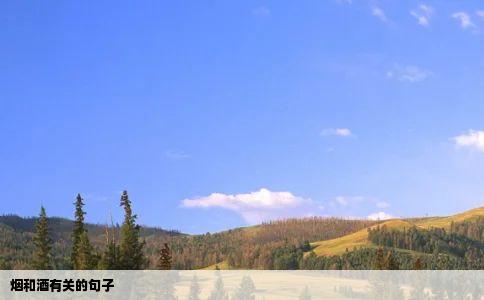 烟和酒有关的句子