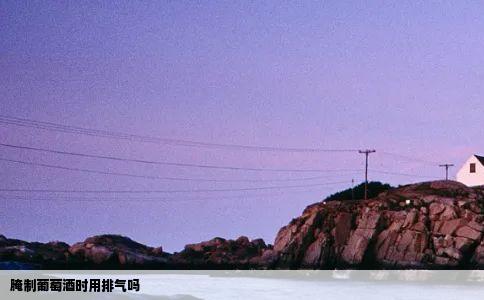 腌制葡萄酒时用排气吗