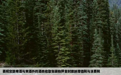 要规定除啤酒与黄酒外的酒类收取包装物押金时缴纳增值税与消费税