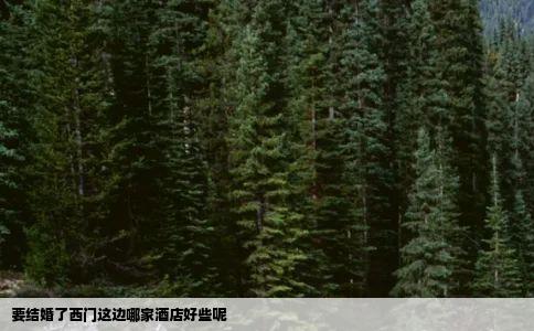 要结婚了西门这边哪家酒店好些呢