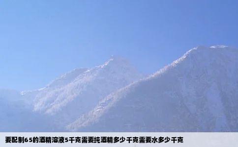 要配制65的酒精溶液5千克需要纯酒精多少千克需要水多少千克