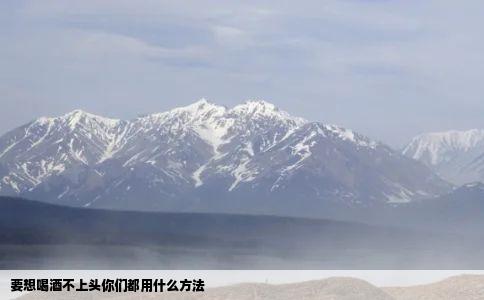 要想喝酒不上头你们都用什么方法