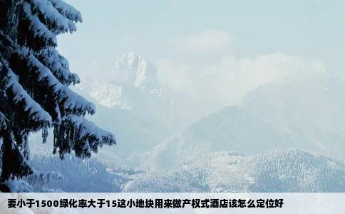 要小于1500绿化率大于15这小地块用来做产权式酒店该怎么定位好