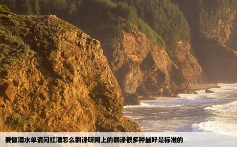 要做酒水单请问红酒怎么翻译呀网上的翻译很多种最好是标准的