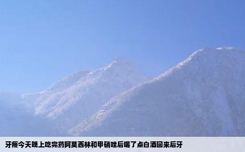 牙疼今天晚上吃完药阿莫西林和甲硝唑后喝了点白酒回来后牙