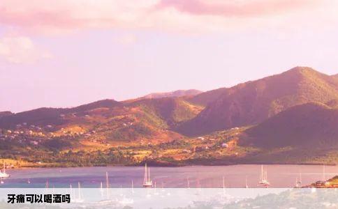 牙痛可以喝酒吗