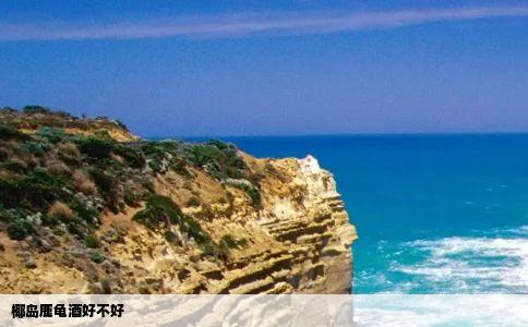 椰岛鹿龟酒好不好