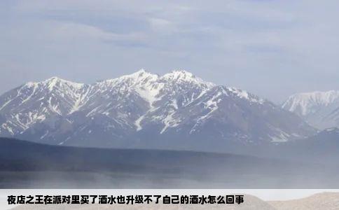 夜店之王在派对里买了酒水也升级不了自己的酒水怎么回事