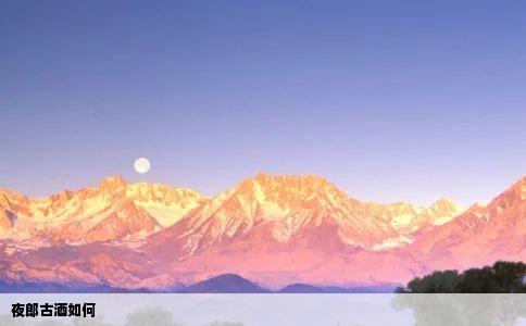 夜郎古酒如何