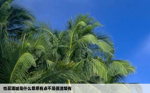 也买酒城是什么意思有点不是很清楚有