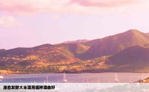 液态发酵大米酒用哪种酒曲好