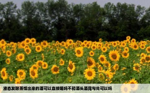 液态发酵蒸馏出来的酒可以直接喝吗不和酒头酒尾勾兑可以吗