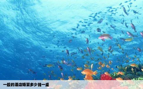 一般的酒店婚宴多少钱一桌