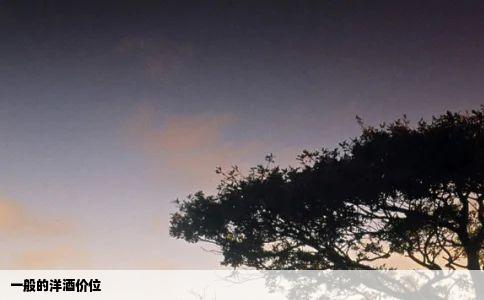 一般的洋酒价位