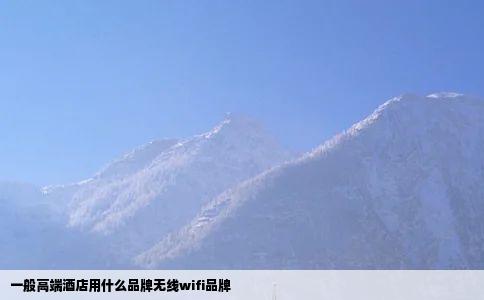 一般高端酒店用什么品牌无线wifi品牌
