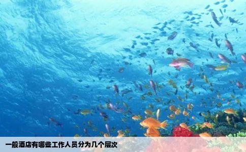 一般酒店有哪些工作人员分为几个层次