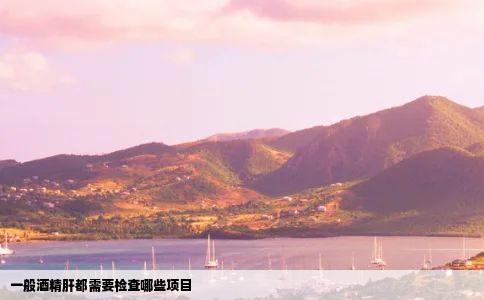 一般酒精肝都需要检查哪些项目