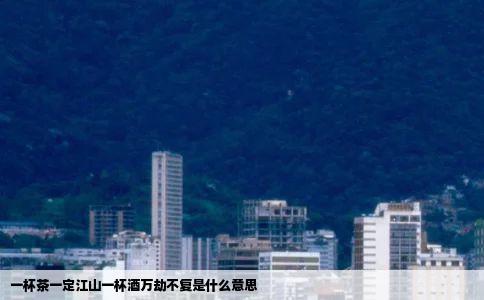 一杯茶一定江山一杯酒万劫不复是什么意思