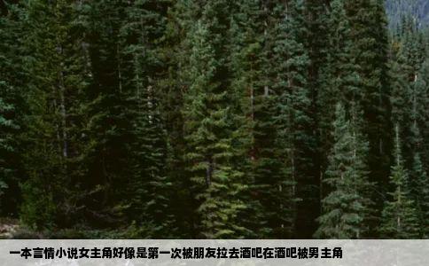 一本言情小说女主角好像是第一次被朋友拉去酒吧在酒吧被男主角