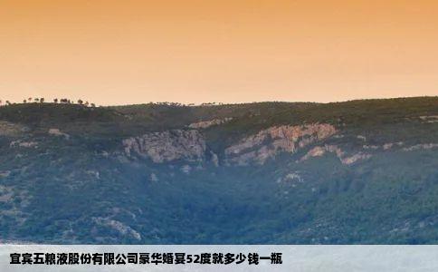 宜宾五粮液股份有限公司豪华婚宴52度就多少钱一瓶