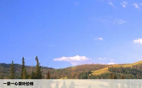 一茶一心茶叶价格