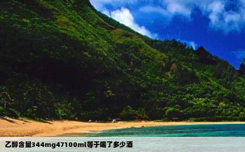 乙醇含量344mg47100ml等于喝了多少酒