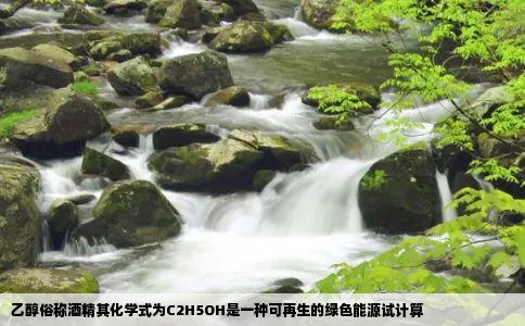 乙醇俗称酒精其化学式为C2H5OH是一种可再生的绿色能源试计算