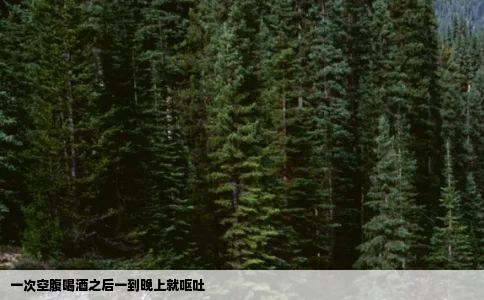 一次空腹喝酒之后一到晚上就呕吐
