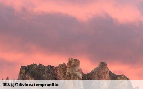 意大利红酒vineatempranillo