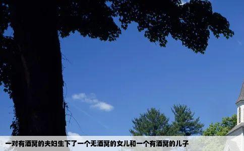 一对有酒窝的夫妇生下了一个无酒窝的女儿和一个有酒窝的儿子
