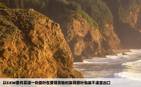 以EXW条件买进一批茶叶在受领货物时发现茶叶包装不适宜出口