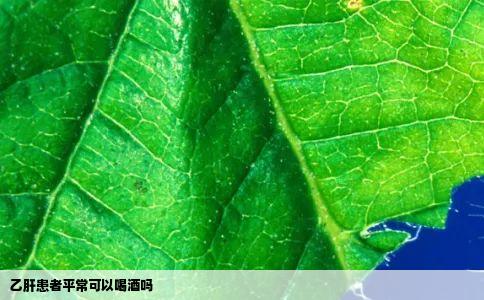 乙肝患者平常可以喝酒吗