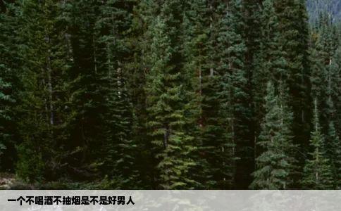 一个不喝酒不抽烟是不是好男人