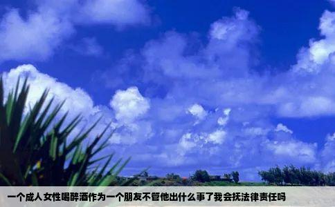 一个成人女性喝醉酒作为一个朋友不管他出什么事了我会抚法律责任吗