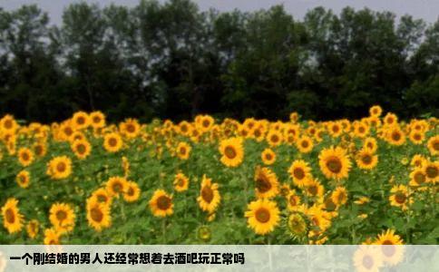 一个刚结婚的男人还经常想着去酒吧玩正常吗