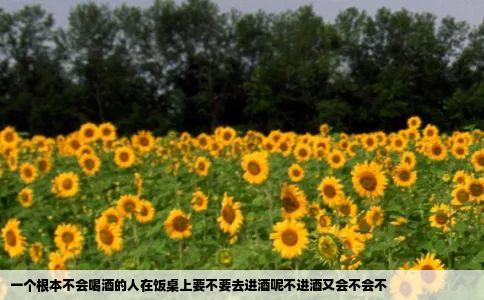 一个根本不会喝酒的人在饭桌上要不要去进酒呢不进酒又会不会不
