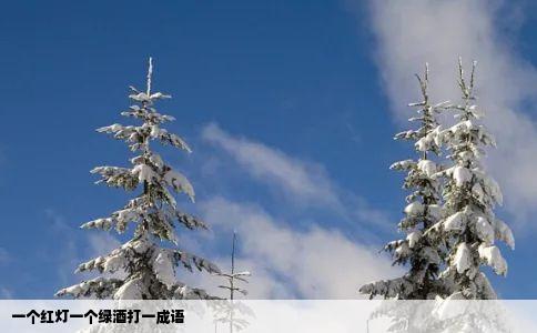 一个红灯一个绿酒打一成语