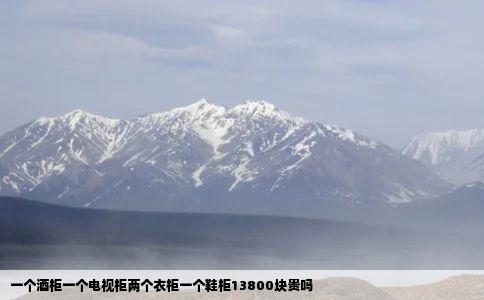 一个酒柜一个电视柜两个衣柜一个鞋柜13800块贵吗