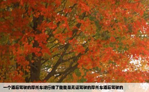 一个酒后驾驶的摩托车逆行撞了我我是无证驾驶的摩托车酒后驾驶的