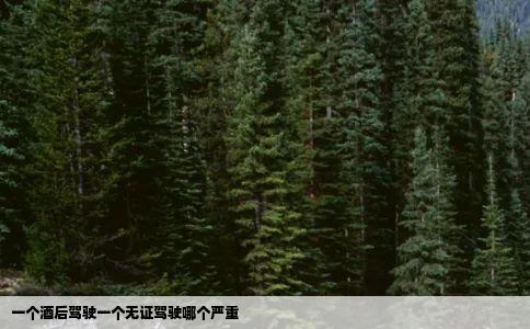 一个酒后驾驶一个无证驾驶哪个严重