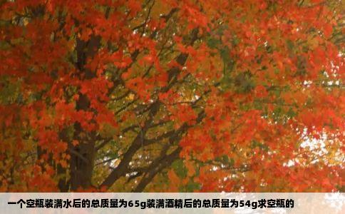 一个空瓶装满水后的总质量为65g装满酒精后的总质量为54g求空瓶的