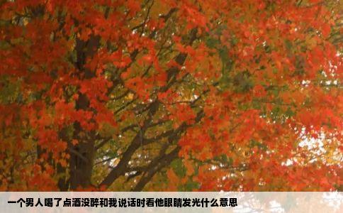 一个男人喝了点酒没醉和我说话时看他眼睛发光什么意思