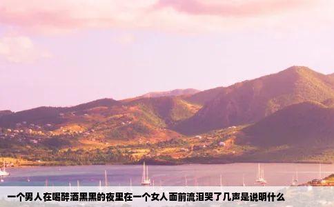 一个男人在喝醉酒黑黑的夜里在一个女人面前流泪哭了几声是说明什么