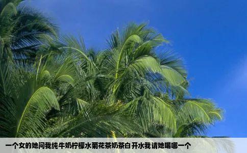 一个女的她问我纯牛奶柠檬水菊花茶奶茶白开水我请她喝哪一个