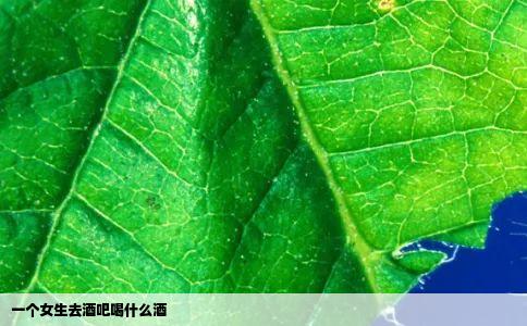 一个女生去酒吧喝什么酒
