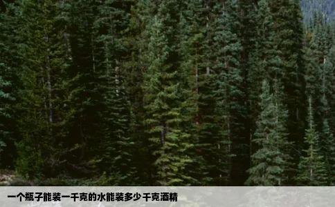 一个瓶子能装一千克的水能装多少千克酒精