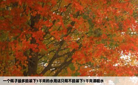 一个瓶子最多能装下1千克的水用这只瓶不能装下1千克酒精水