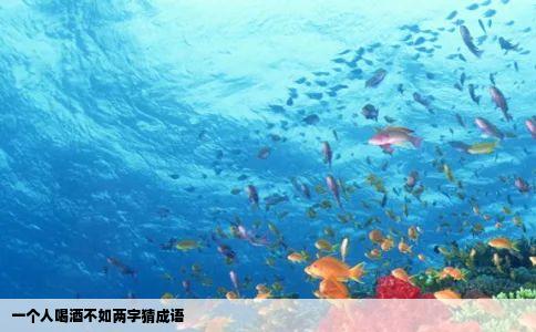 一个人喝酒不如两字猜成语